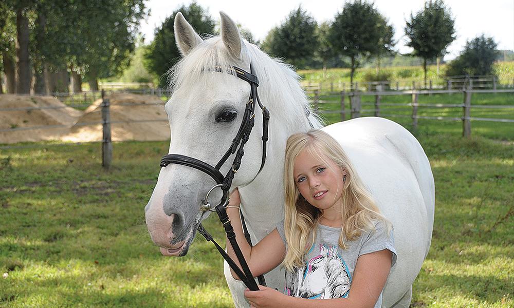 Paardenfeestje
